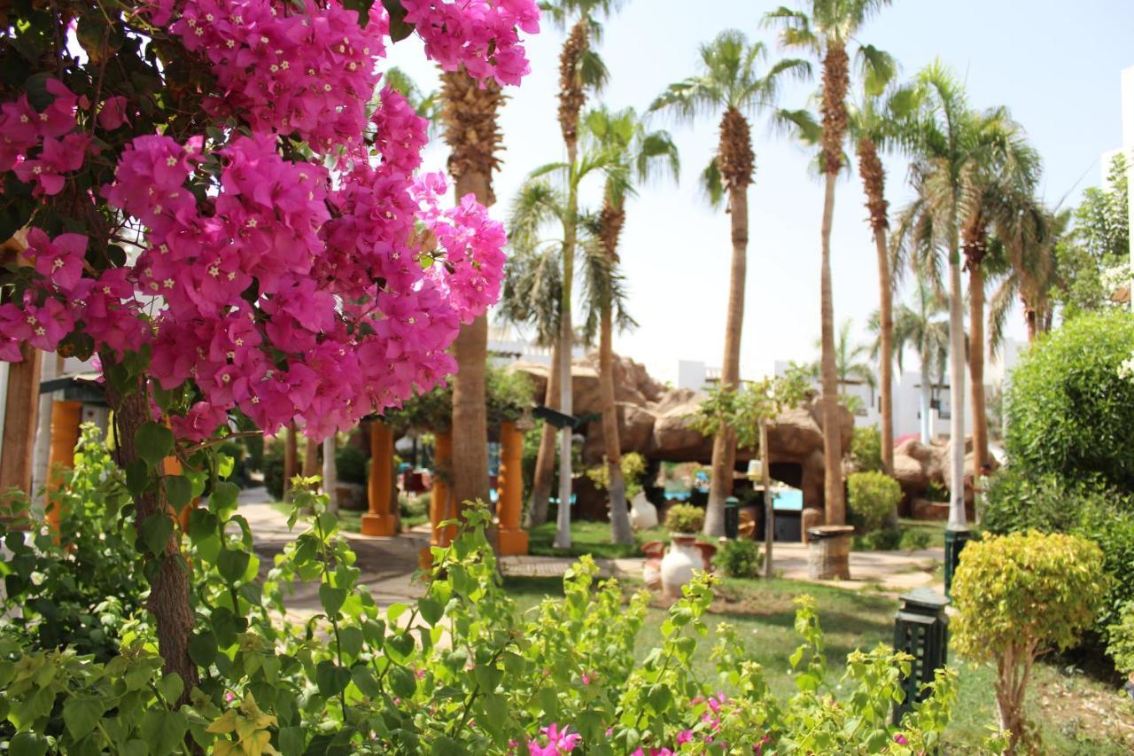 Herrmes hotel suites Sharm-el-Sheikh Buitenkant foto
